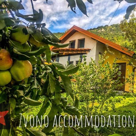 Guesthouse Zvono Plužine Exteriör bild